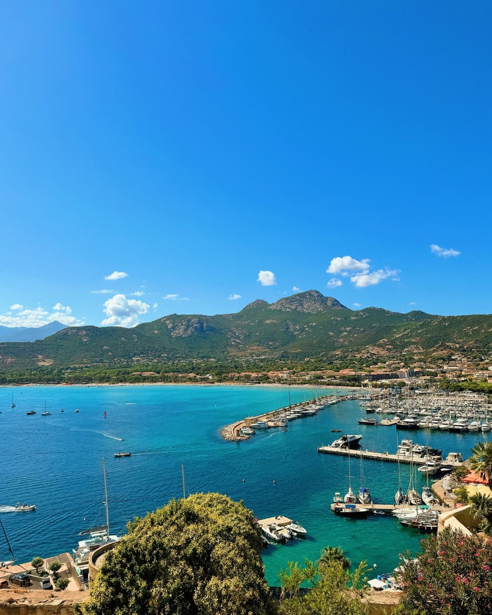 Calvi, Marina