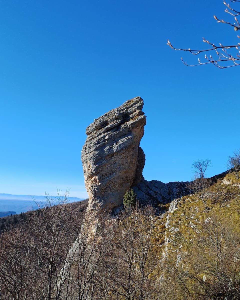 Chartreuse Regional Park Grenoble