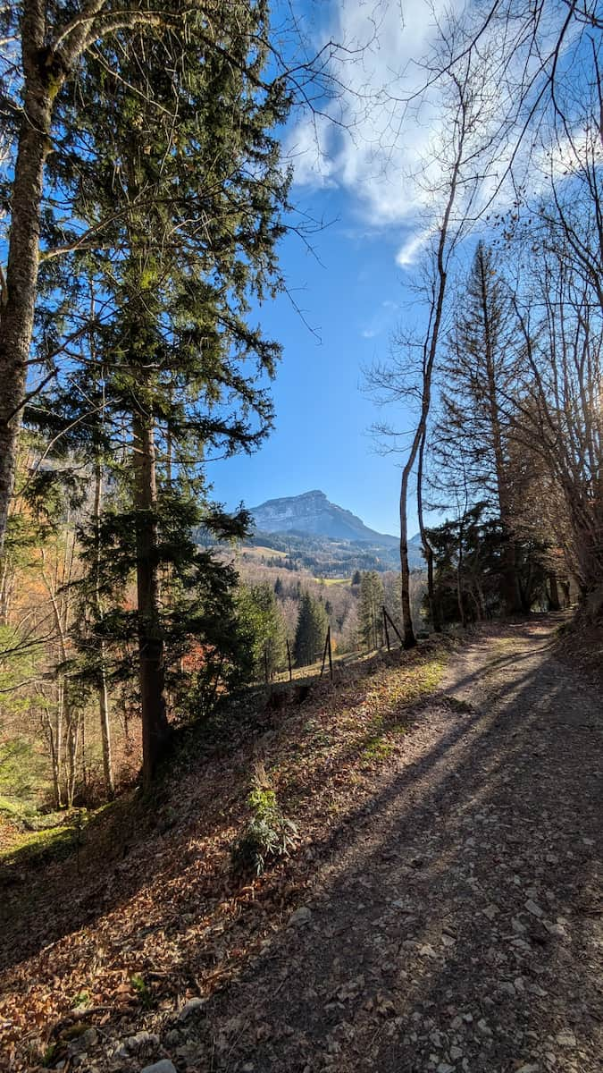 Chartreuse Regional Park Grenoble