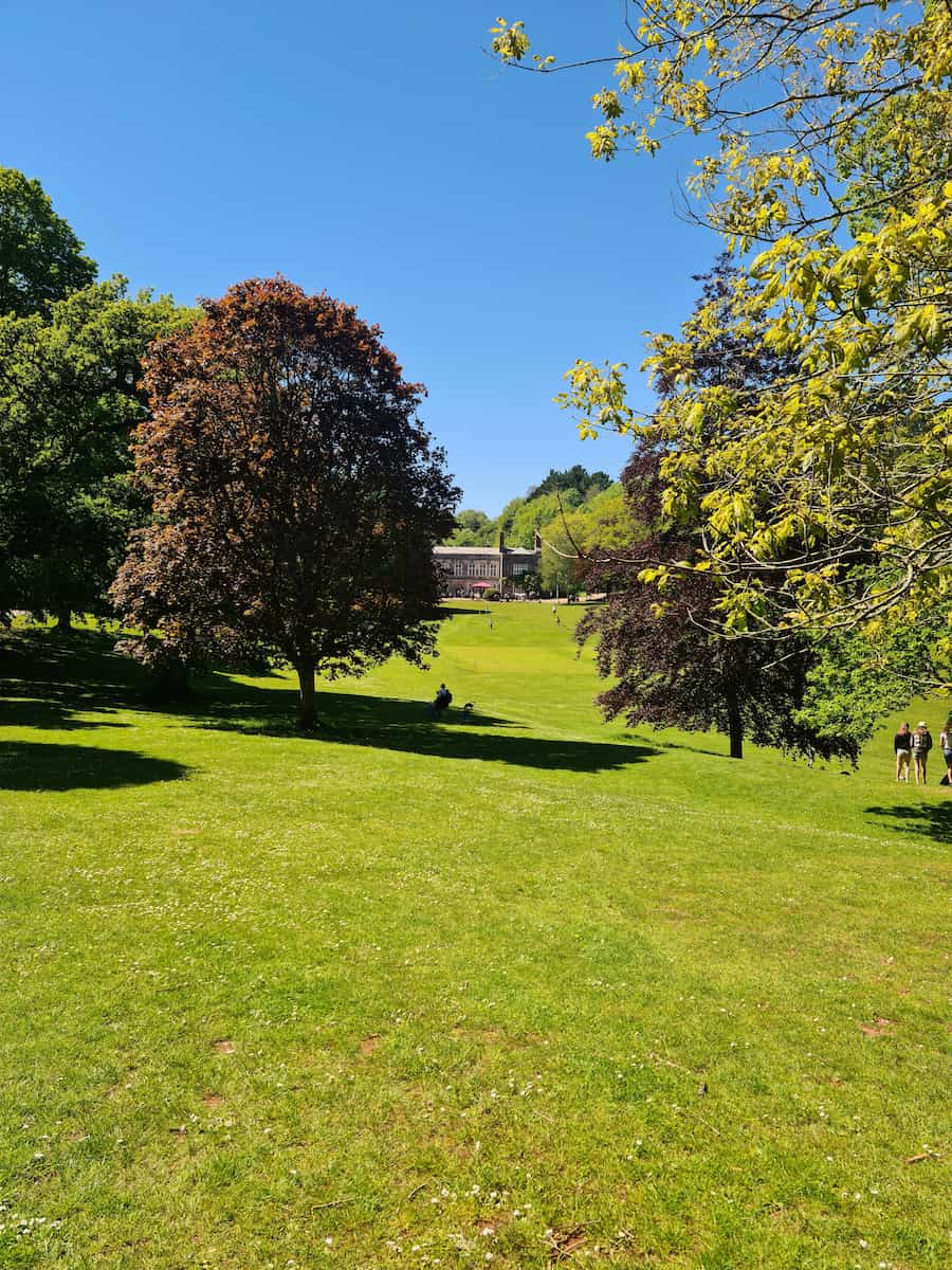 Cockington Park Torquay