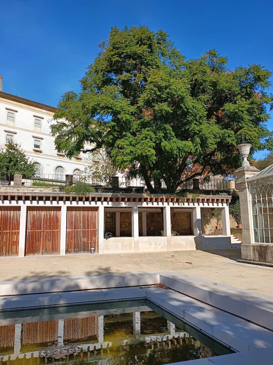 Coimbra's Botanical Garden