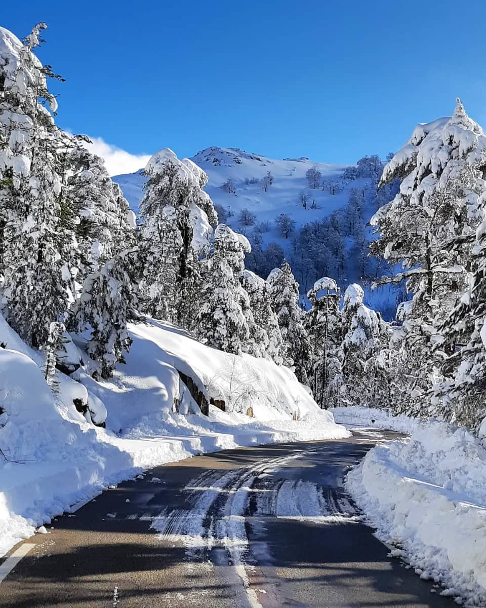 Col de Vergio, Corsica