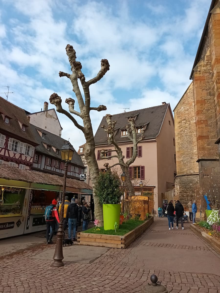 Colmar, Koïfhus