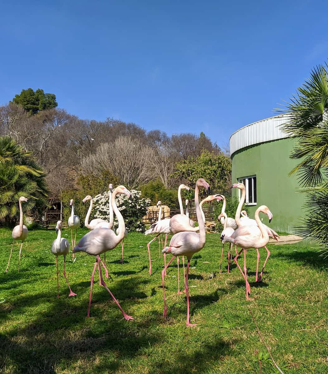 Córdoba Zoo