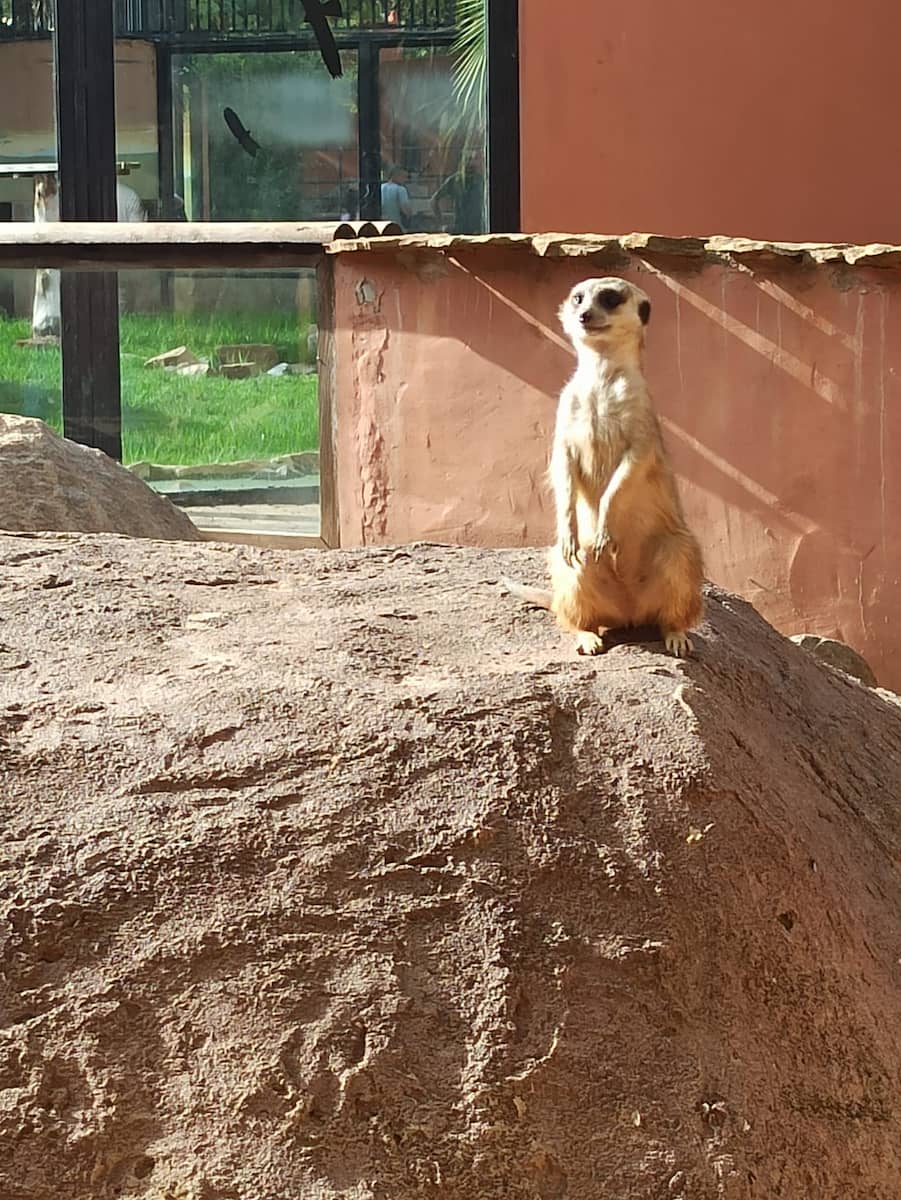 Córdoba Zoo