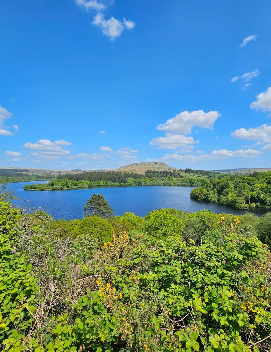 Dartmoor National Park