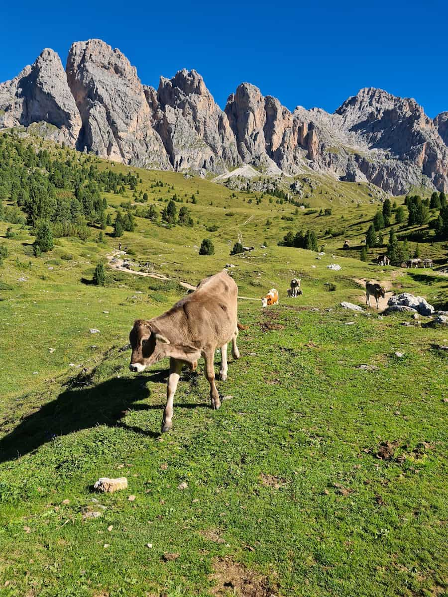 Dolomites Mountains Italy