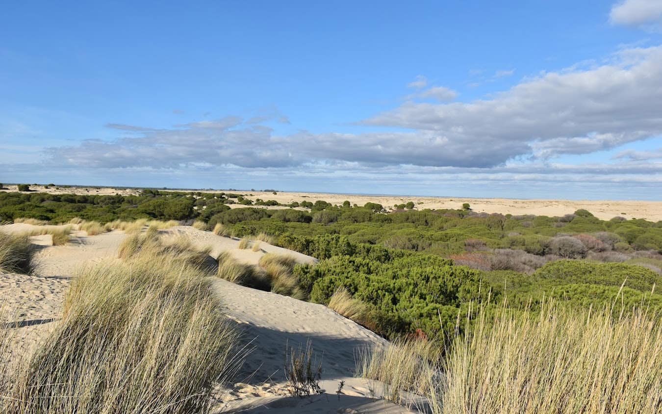 Doñana National Park, Spain