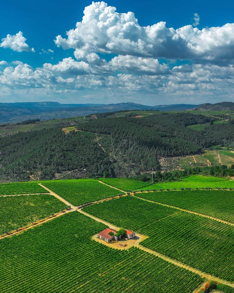 Douro Valley, Portugal