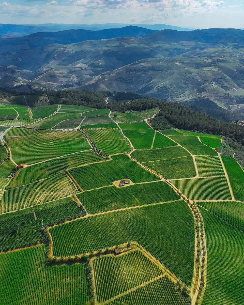 Douro Valley, Portugal