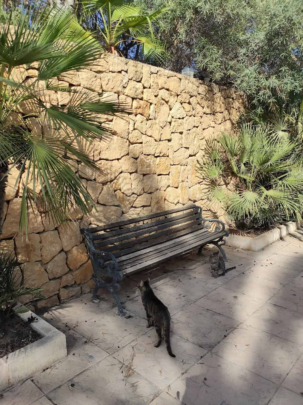 El Palmeral Park Bench, Spain