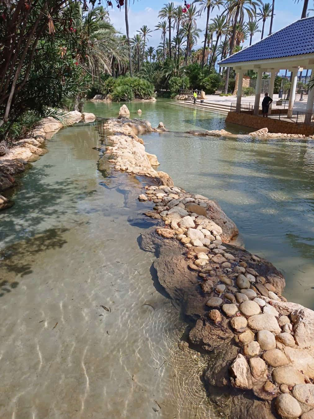 El Palmeral Park Pond, Spain