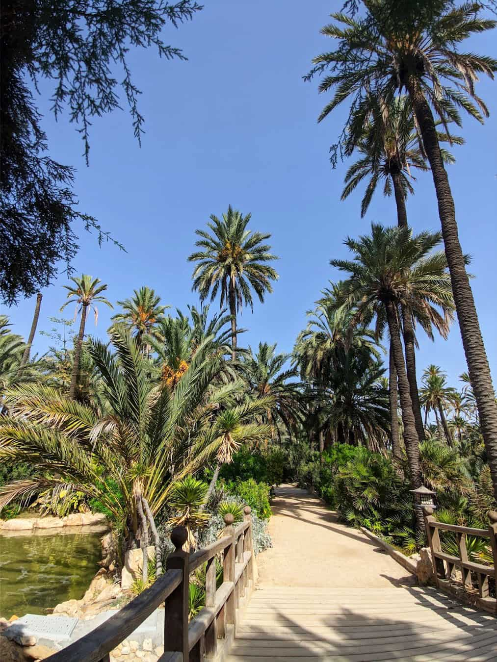 El Palmeral Park, Spain