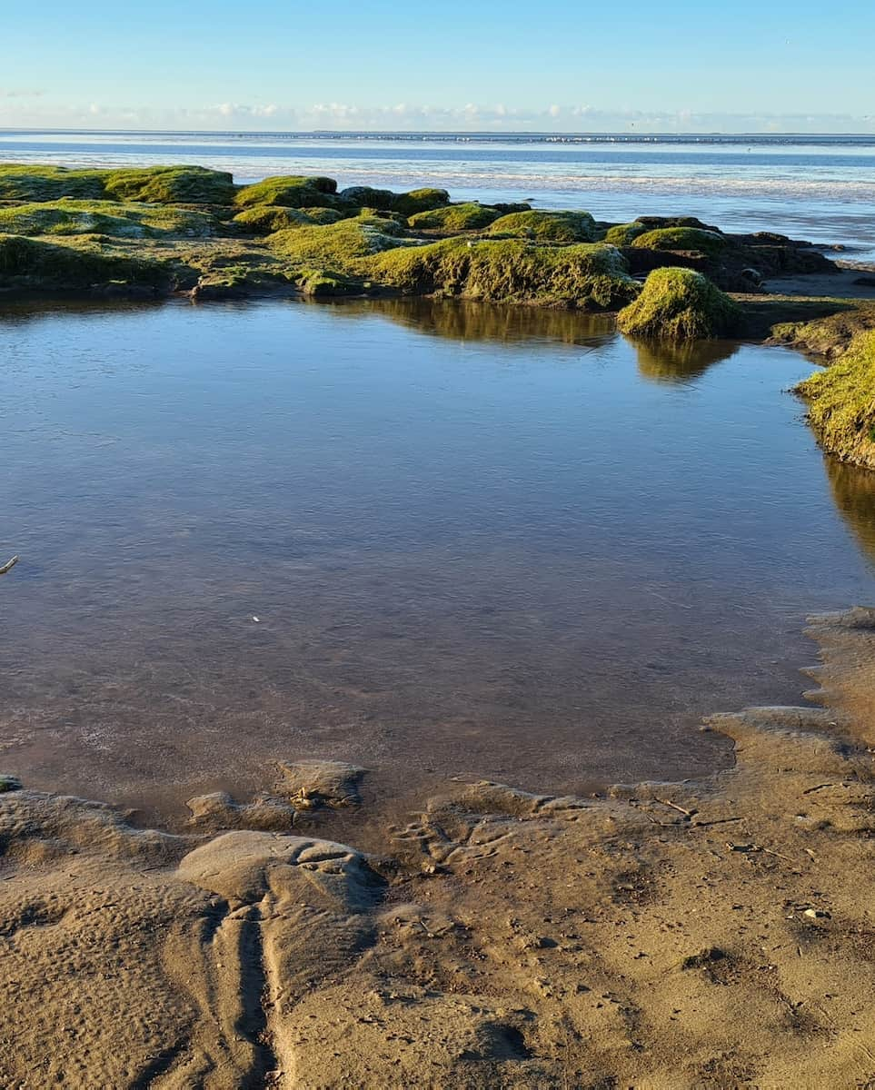 Europe, The Wadden Sea