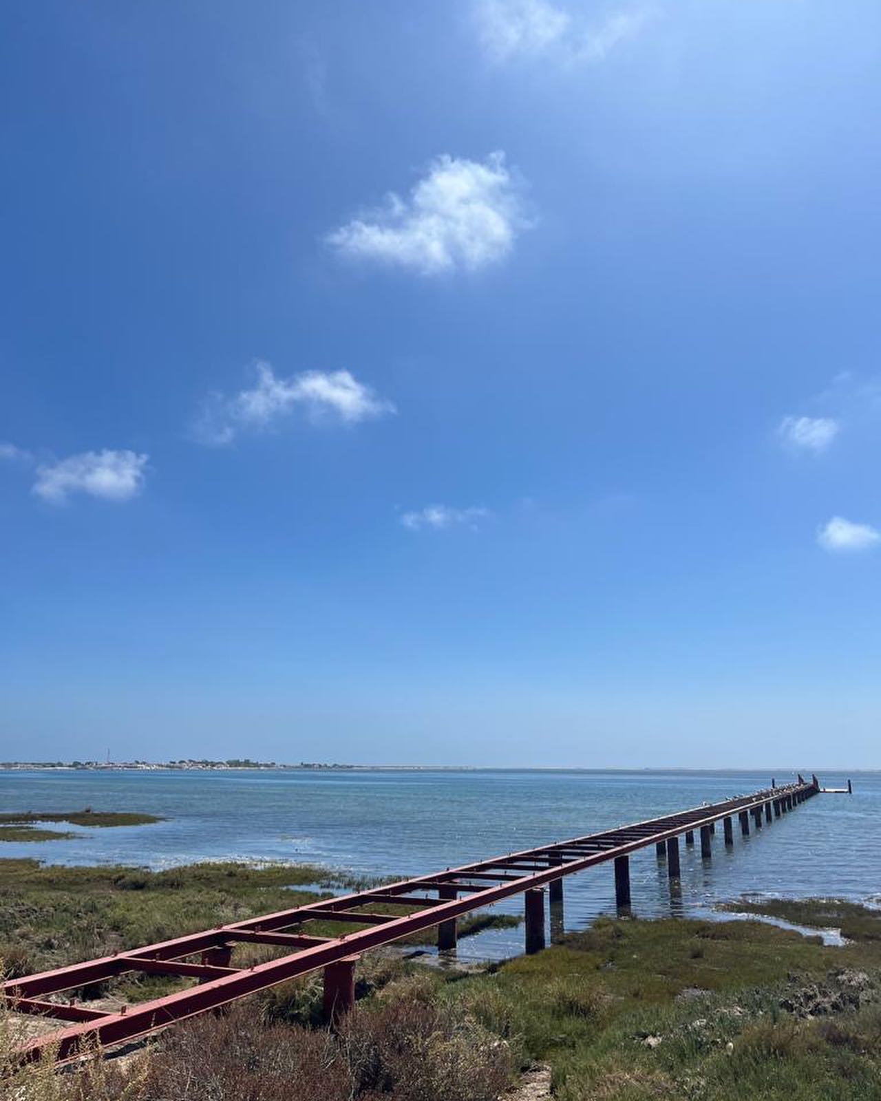 Faro: Ria Formosa