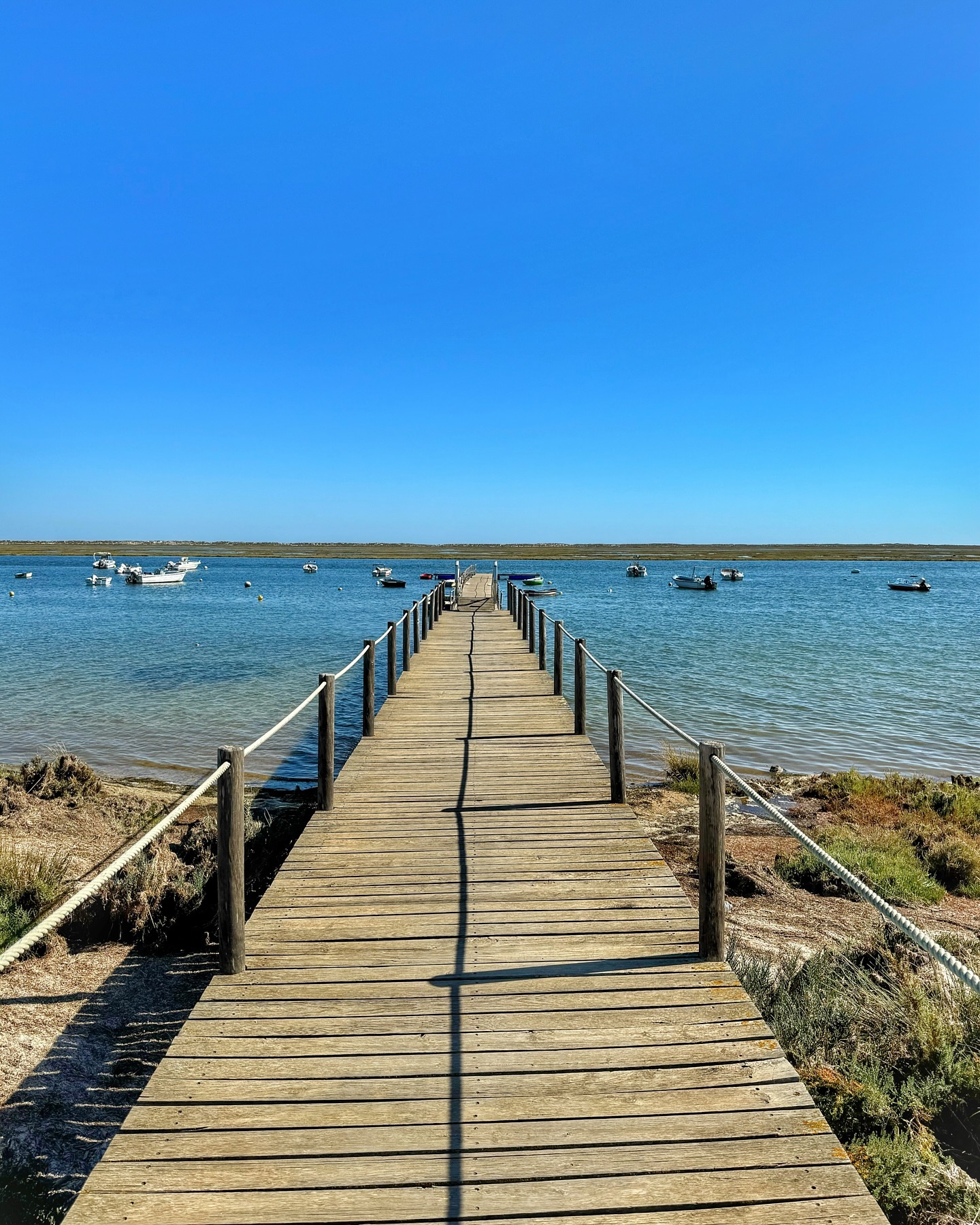 Faro: Ria Formosa