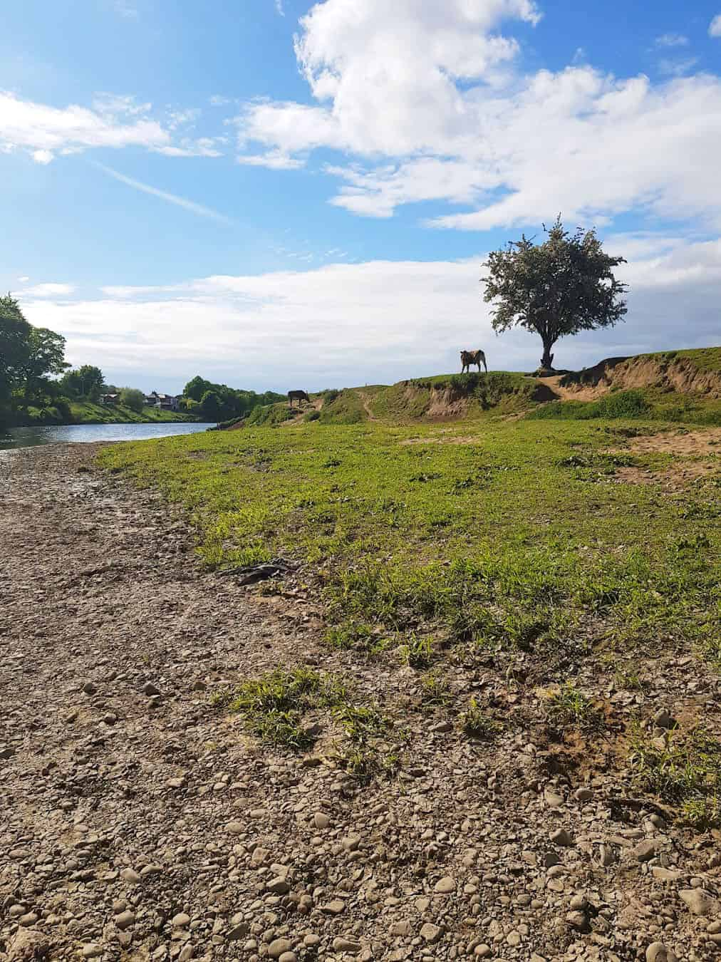 Fishwick Local Nature Reserve, Preston