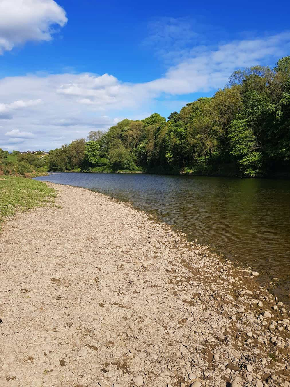 Fishwick Local Nature Reserve River, Preston