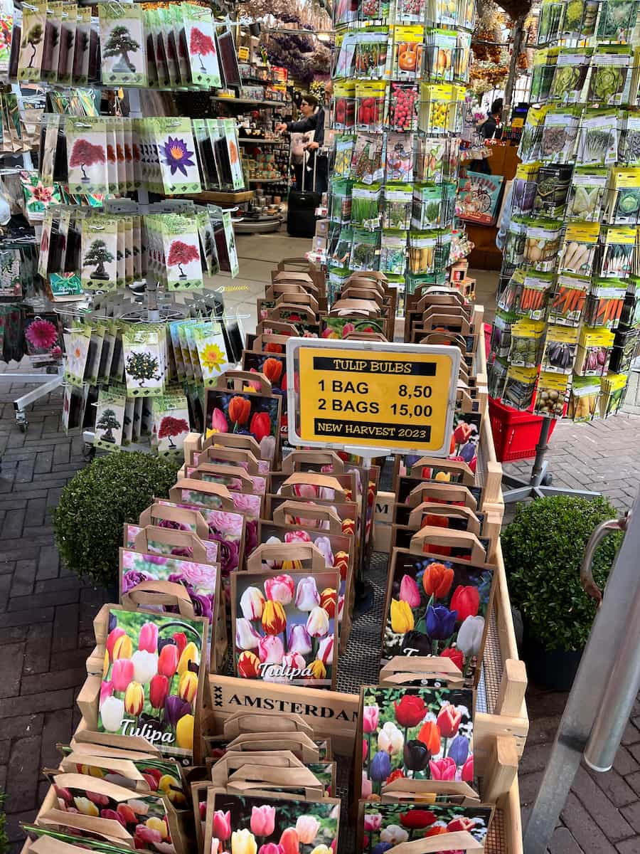 Floating Flowers Amsterdam