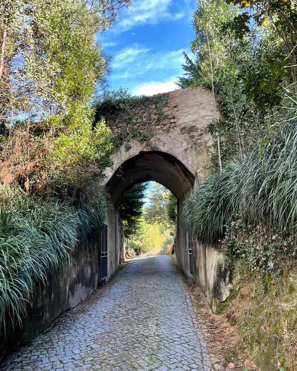 Gardens at Pena Palace, Sintra