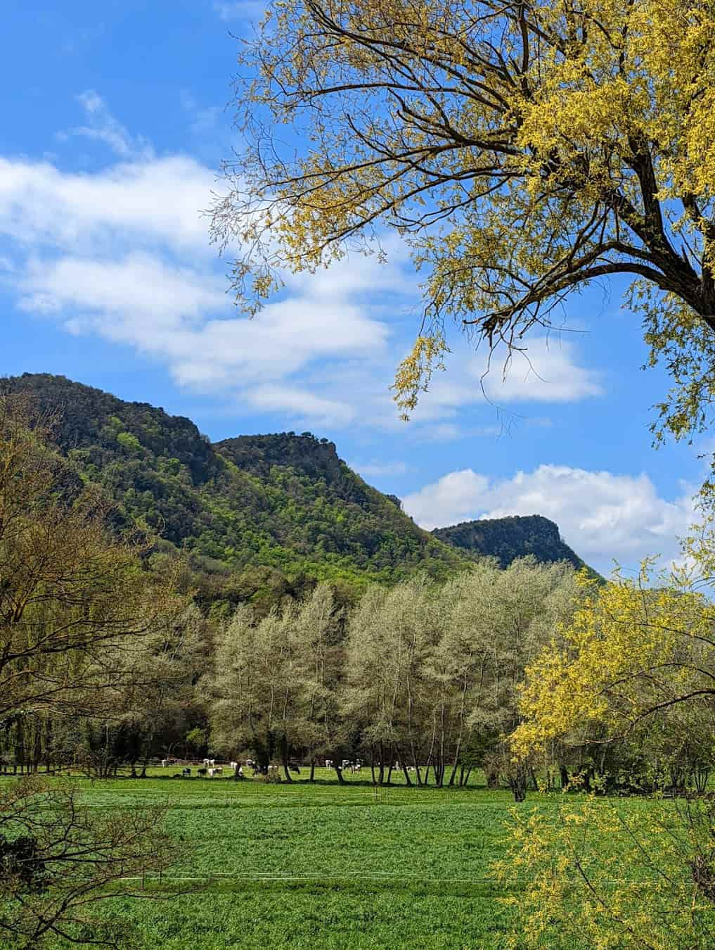 Garrotxa Volcanic Zone, Spain