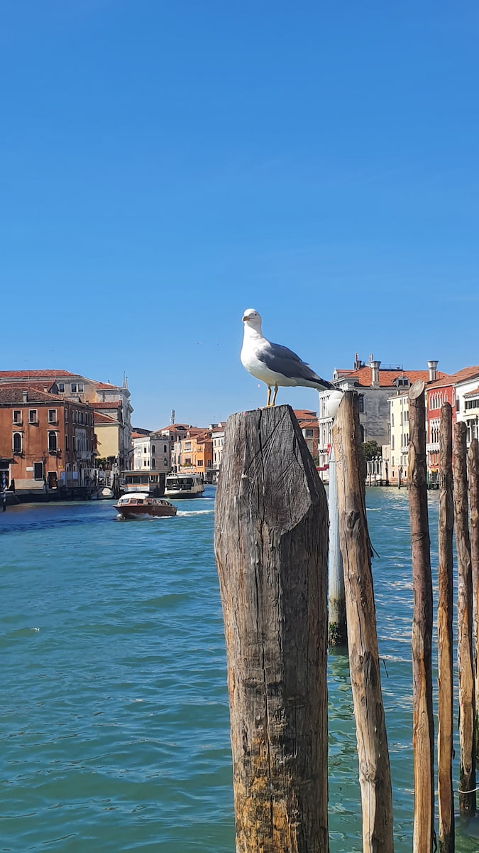 Grand Canal Italy