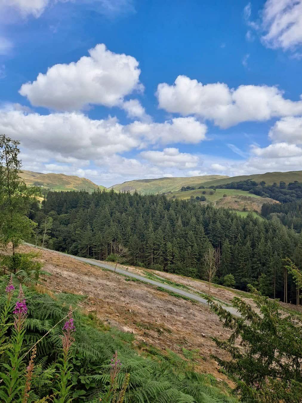 Hafod Estate, England