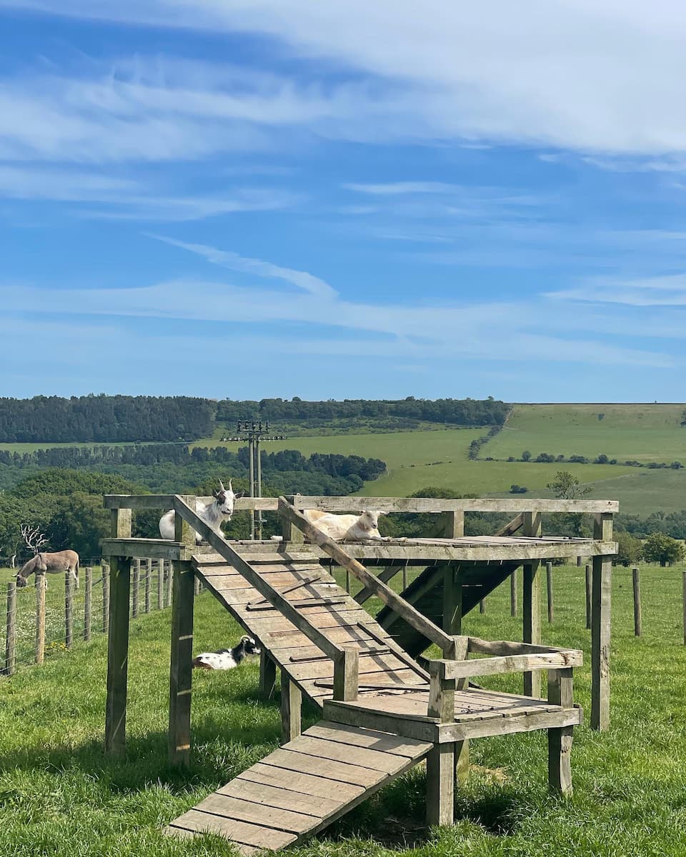 Hall Hill Farm, England