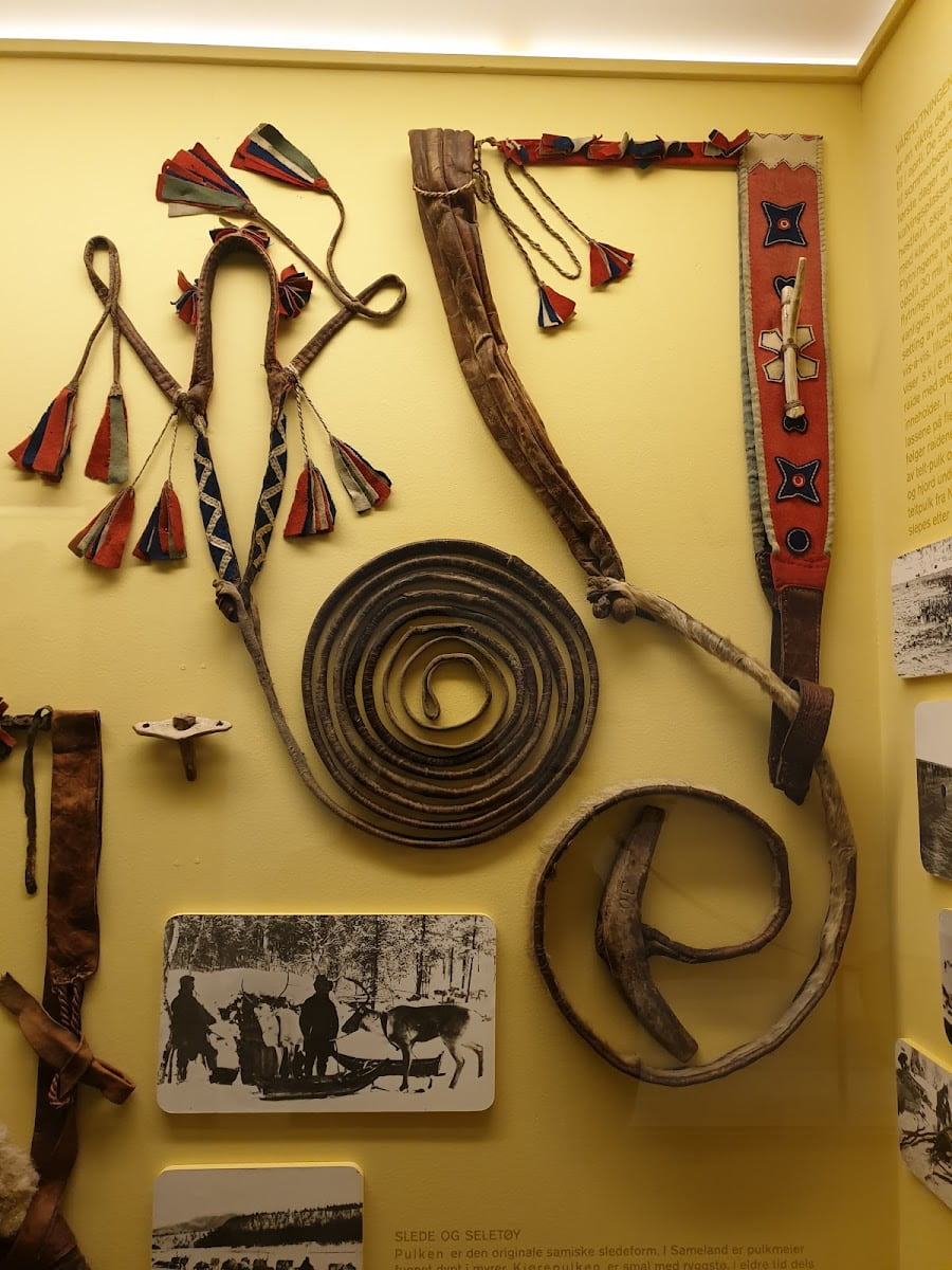 Harness and whip, Arctic University Museum