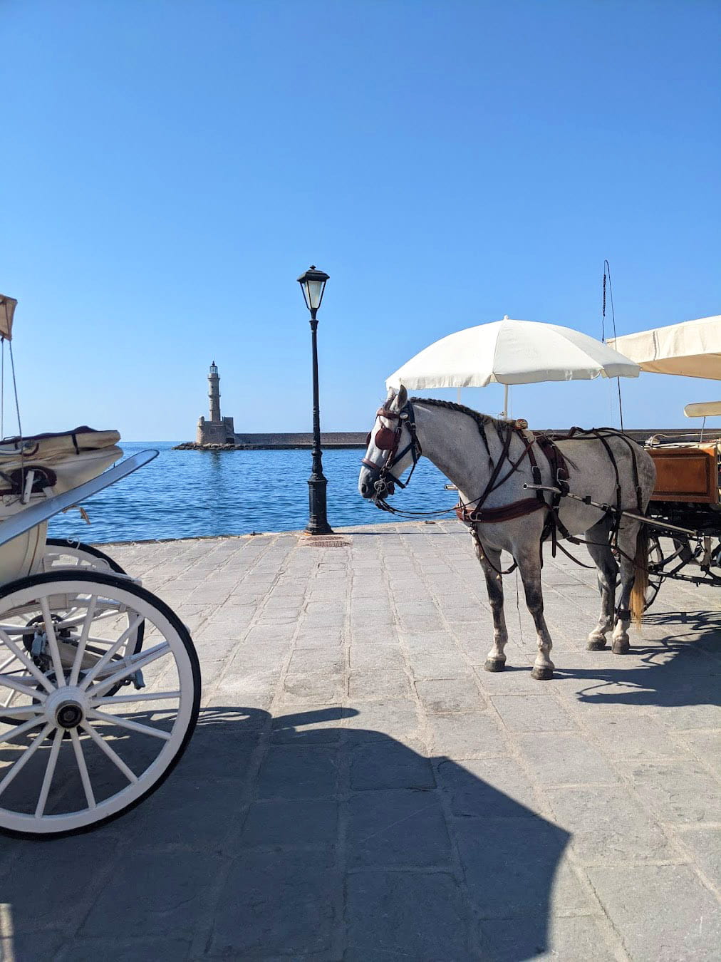 Horse Riding Near Chania Lighthouse