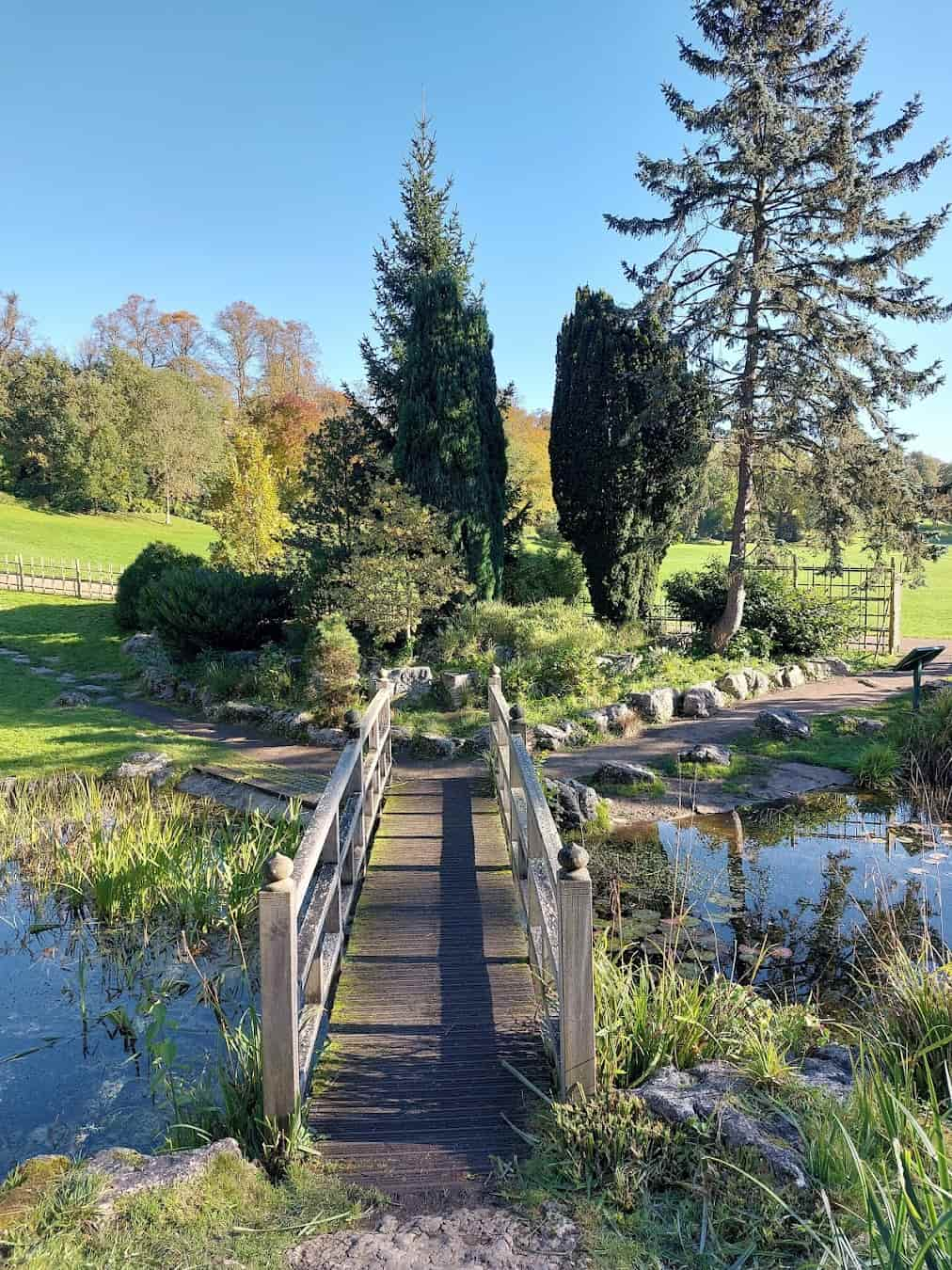 Japanese Garden Bridge, Preston