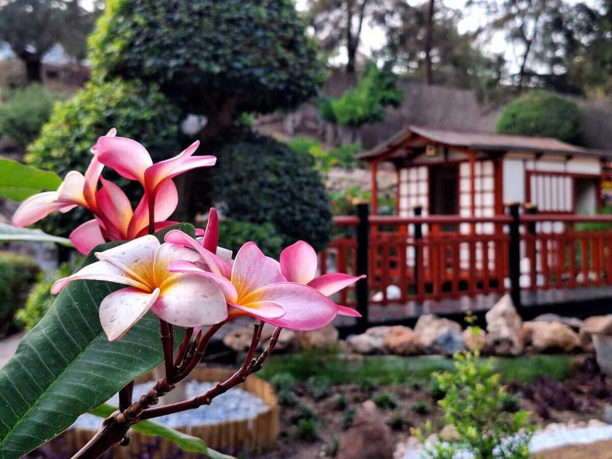 Jardin Botánico Molino de Inca