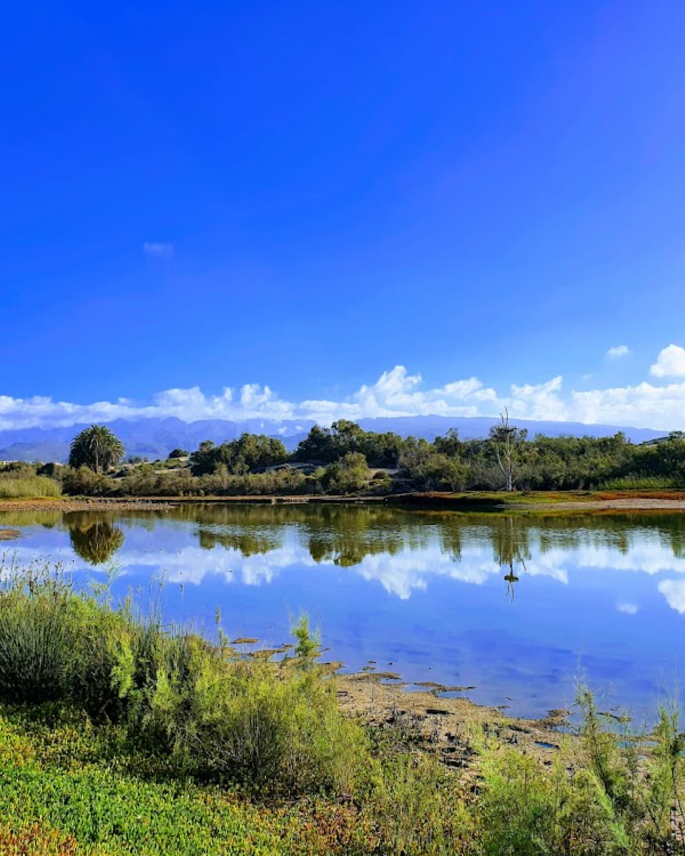 La Charca Lagoon, Maspalomas