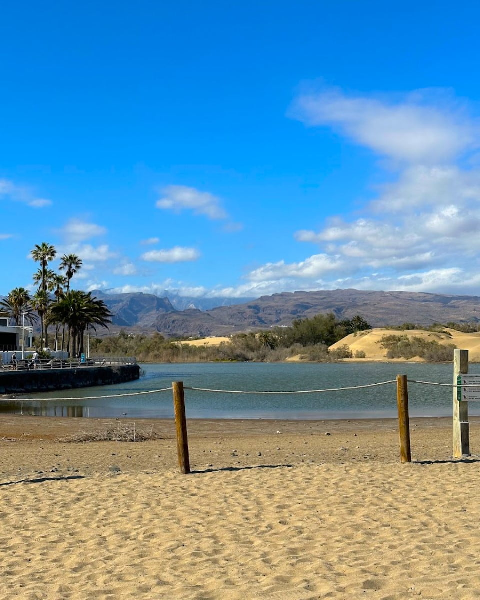 La Charca Lagoon, Maspalomas