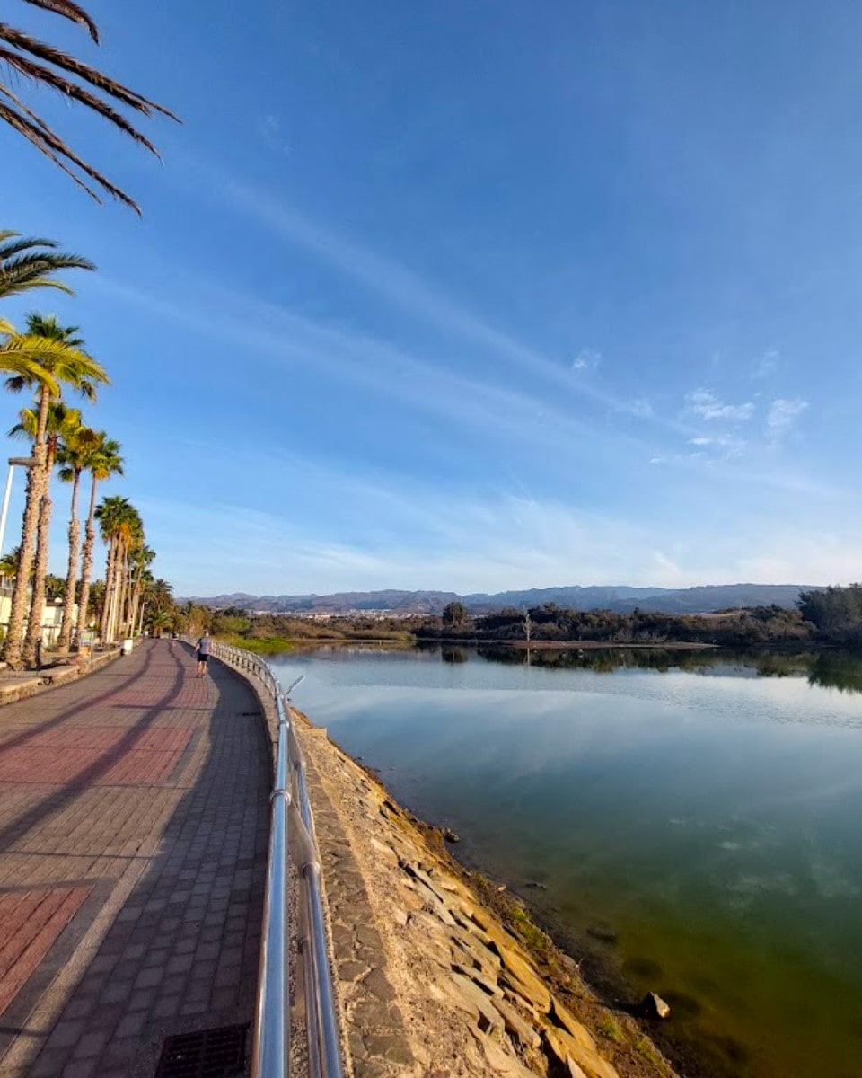 La Charca Lagoon, Maspalomas