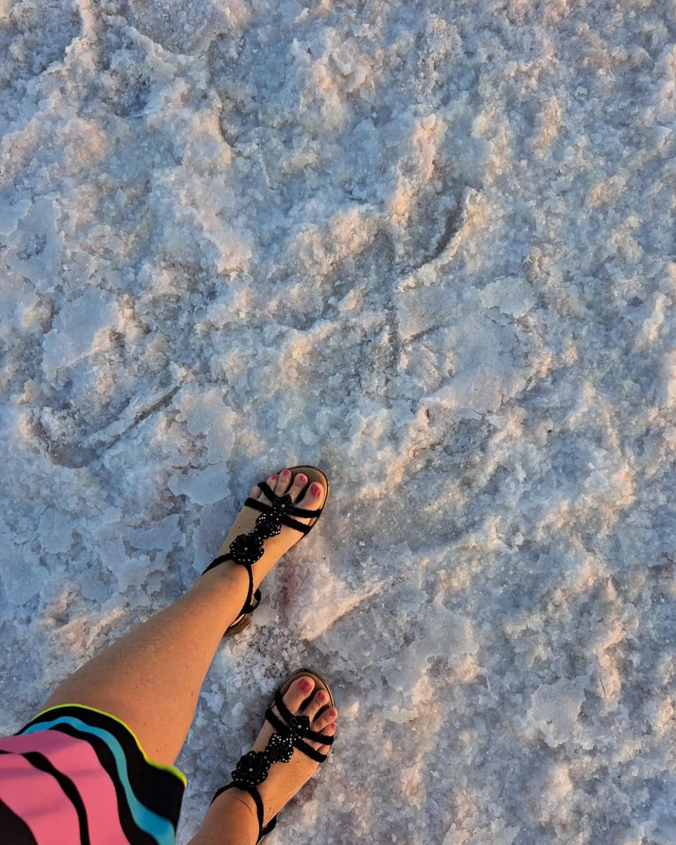 Larnaca Salt Lake