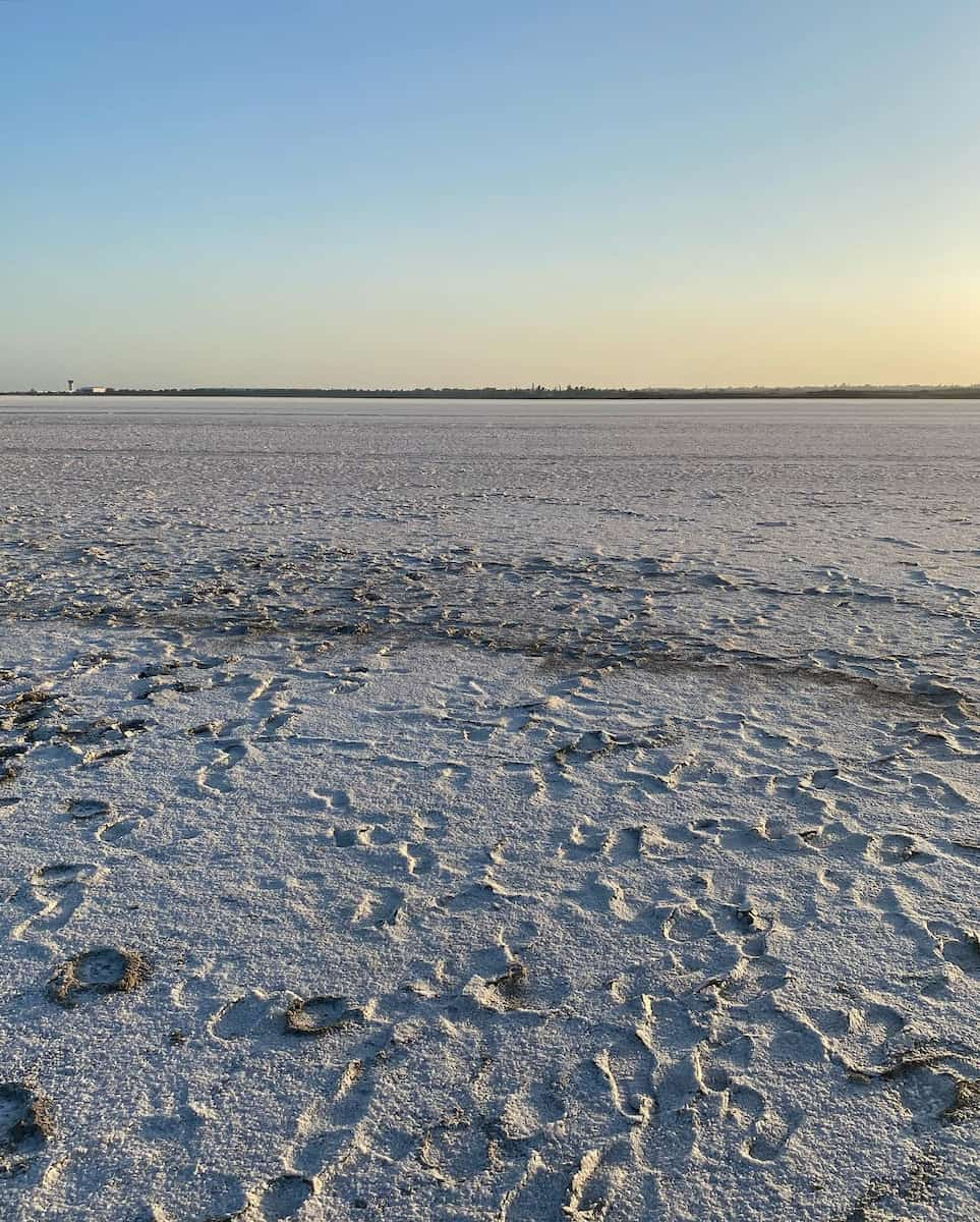 Larnaca Salt Lake