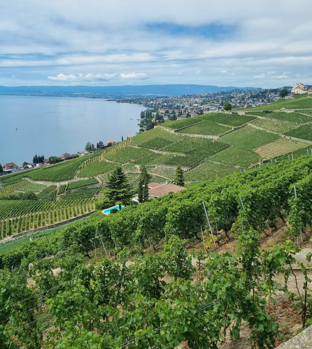 Lavaux UNESCO Vineyards