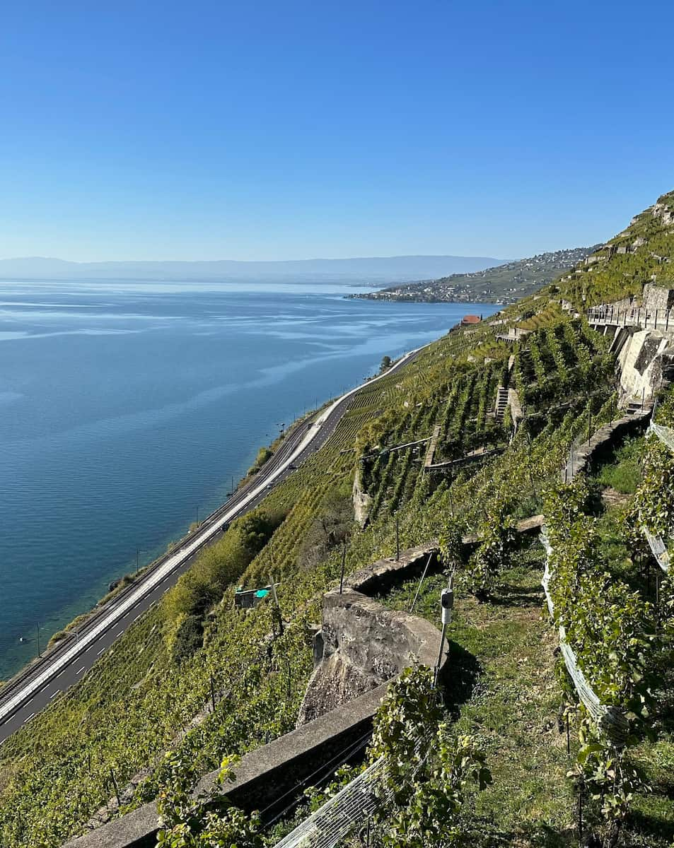 Lavaux UNESCO Vineyards