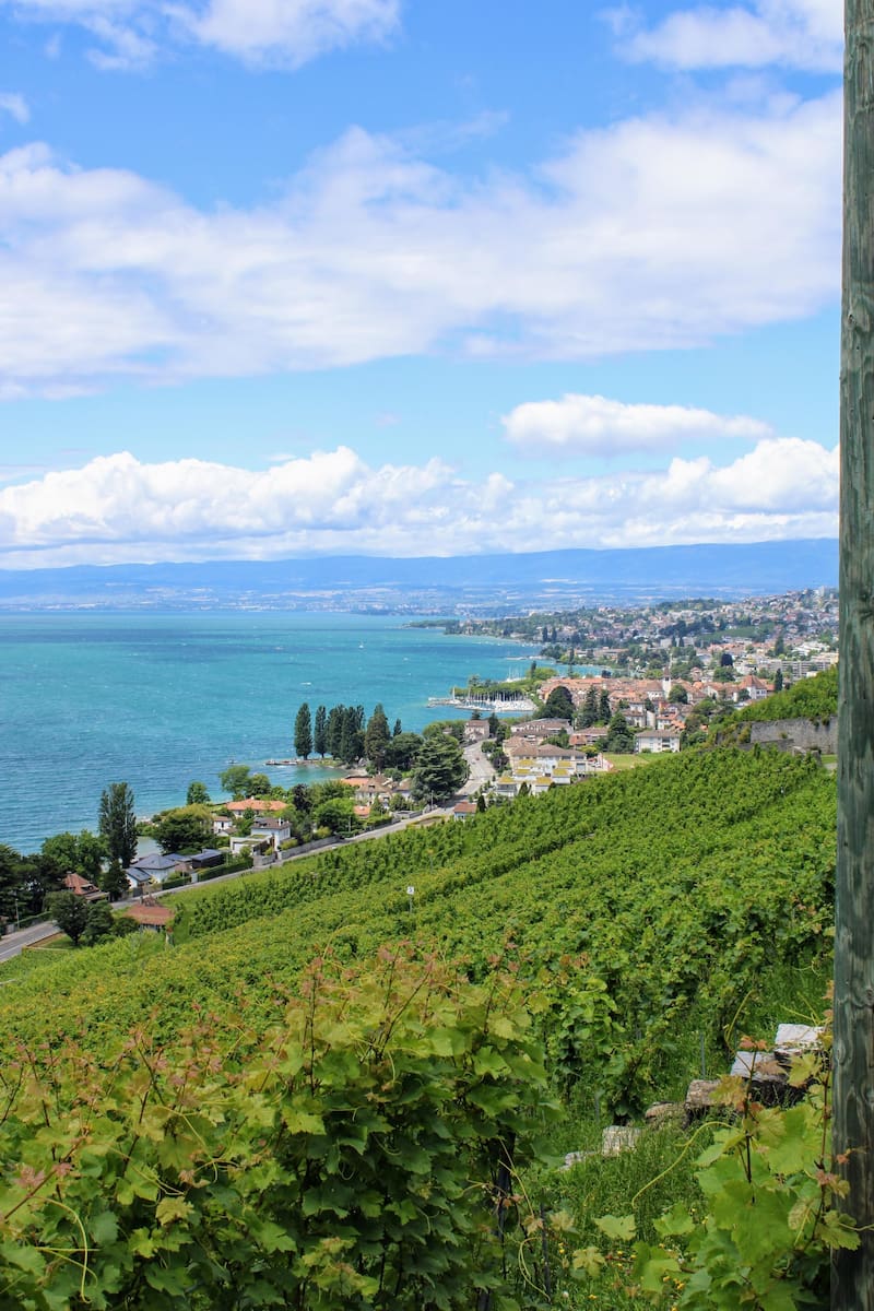 Lavaux UNESCO Vineyards