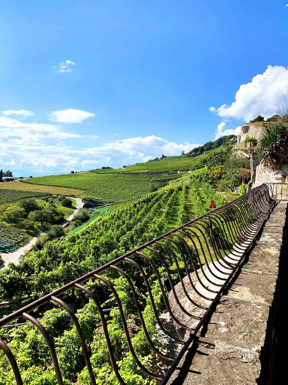 Lavaux Vinorama, Switzerland