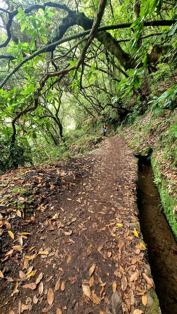 Levada do Caldeirão Verde Madeir