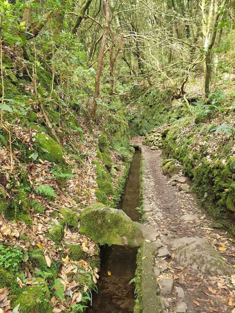 Levada do Caldeirão Verde Madeir