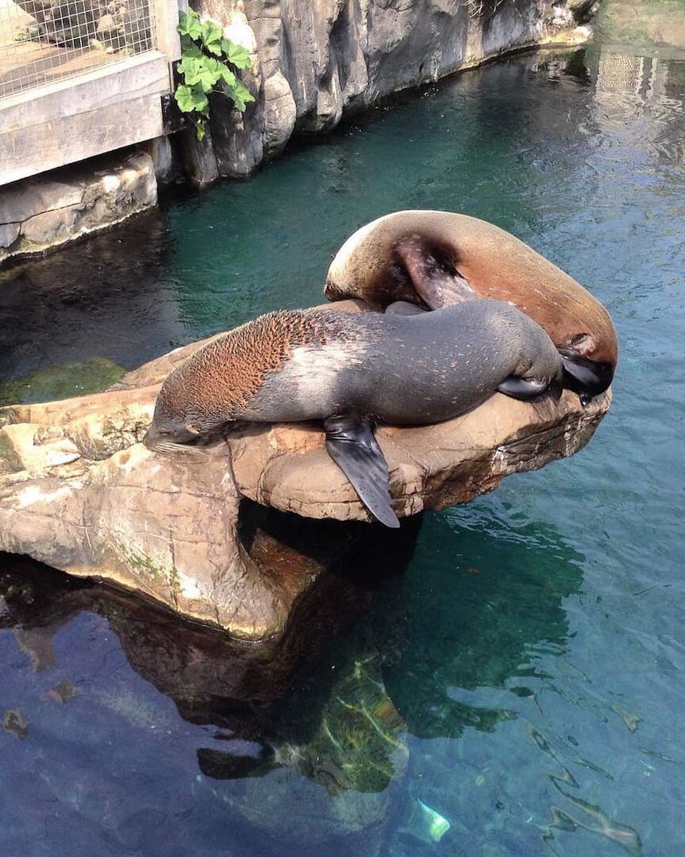 Living Coasts Torquay