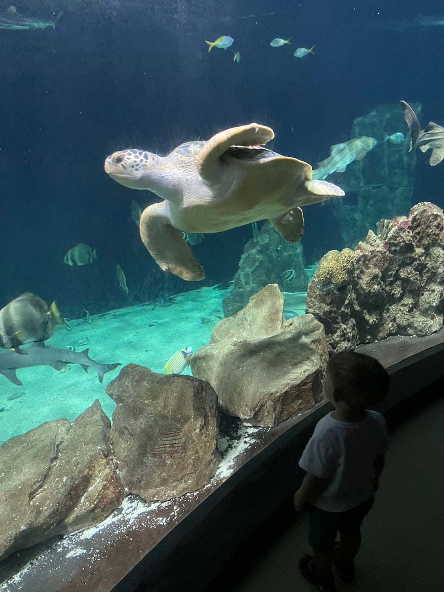 Livorno Aquarium Tuscany