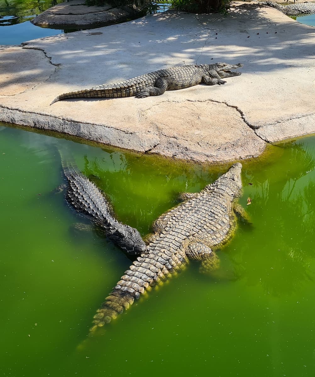 Malaga, Aqualand Torremolinos