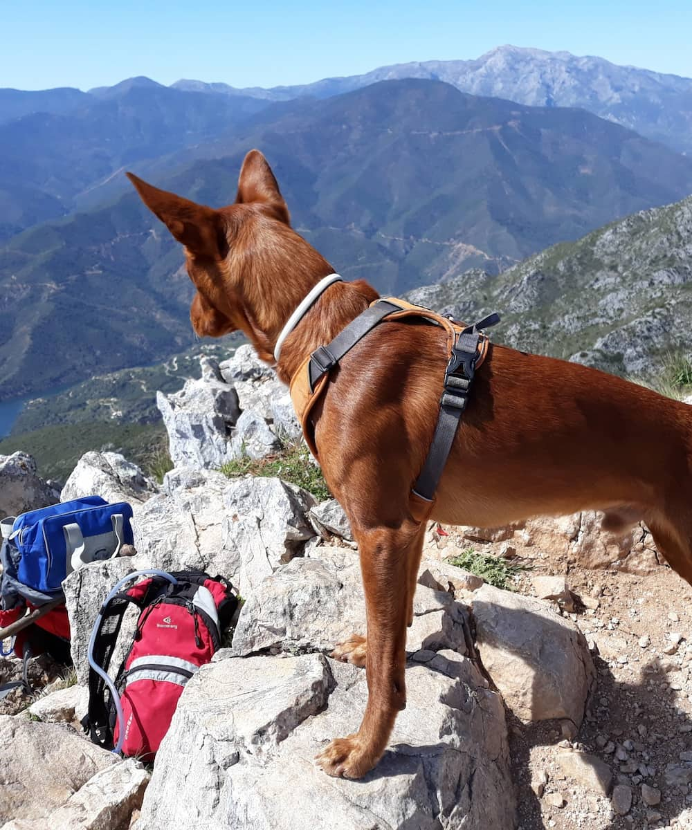 Marbella, La Concha Mountain