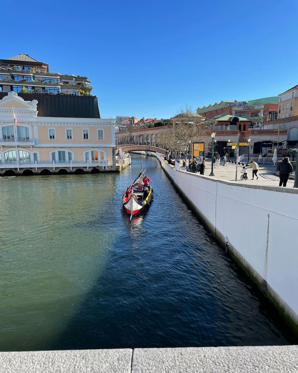 Moliceiro Boat Tours, Aveiro