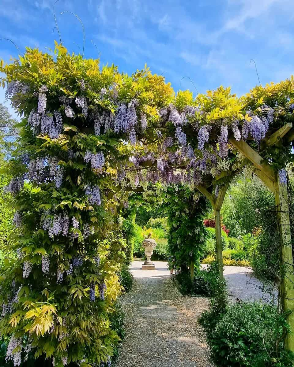 Mount Edgcumbe House & Country Park, Plymouth