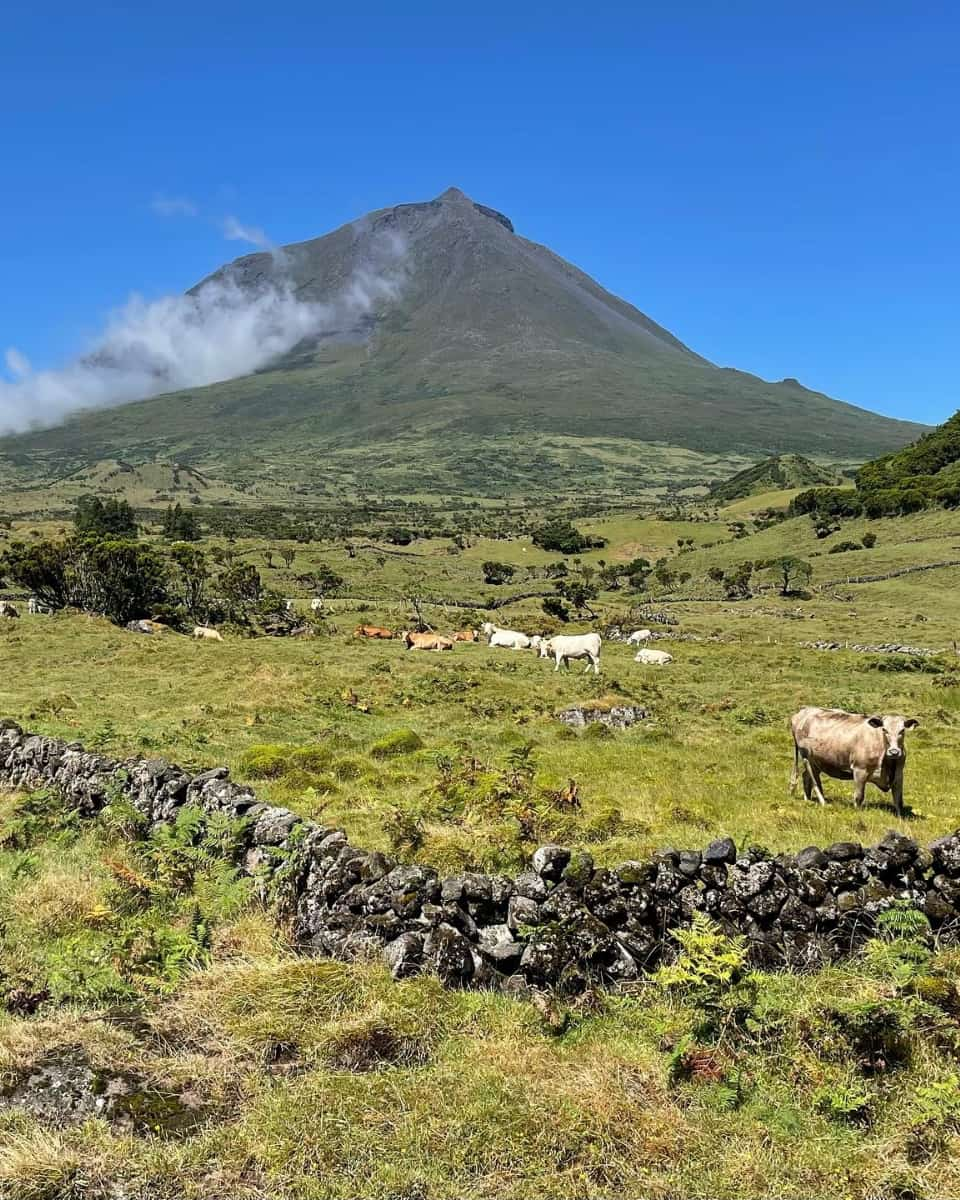 Mount Pico, Azores